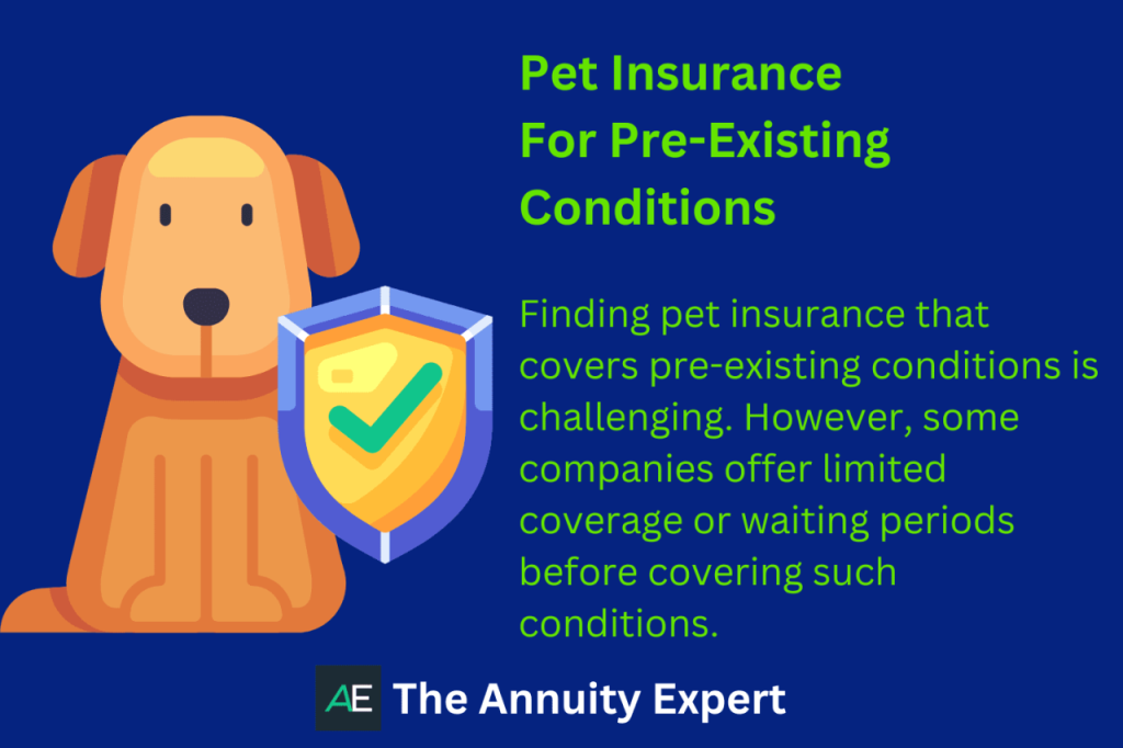 Affordable pet insurance for senior dogs with pre-existing conditions