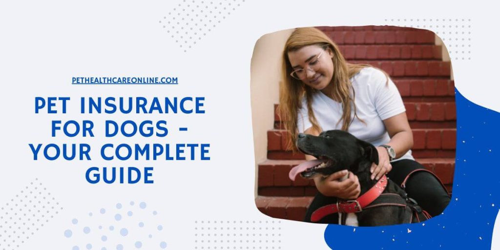 Best pet insurance for older dogs in 2024